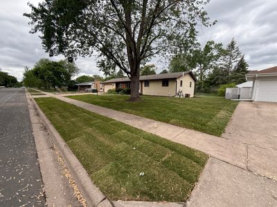 Landscape Renovation