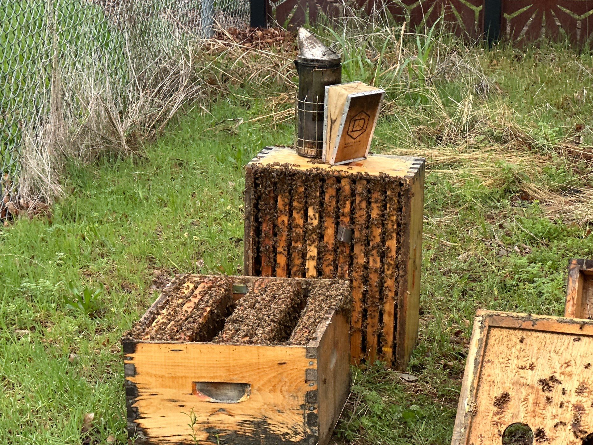 Apartments on the Trails by Rockwall Honey Bee Company