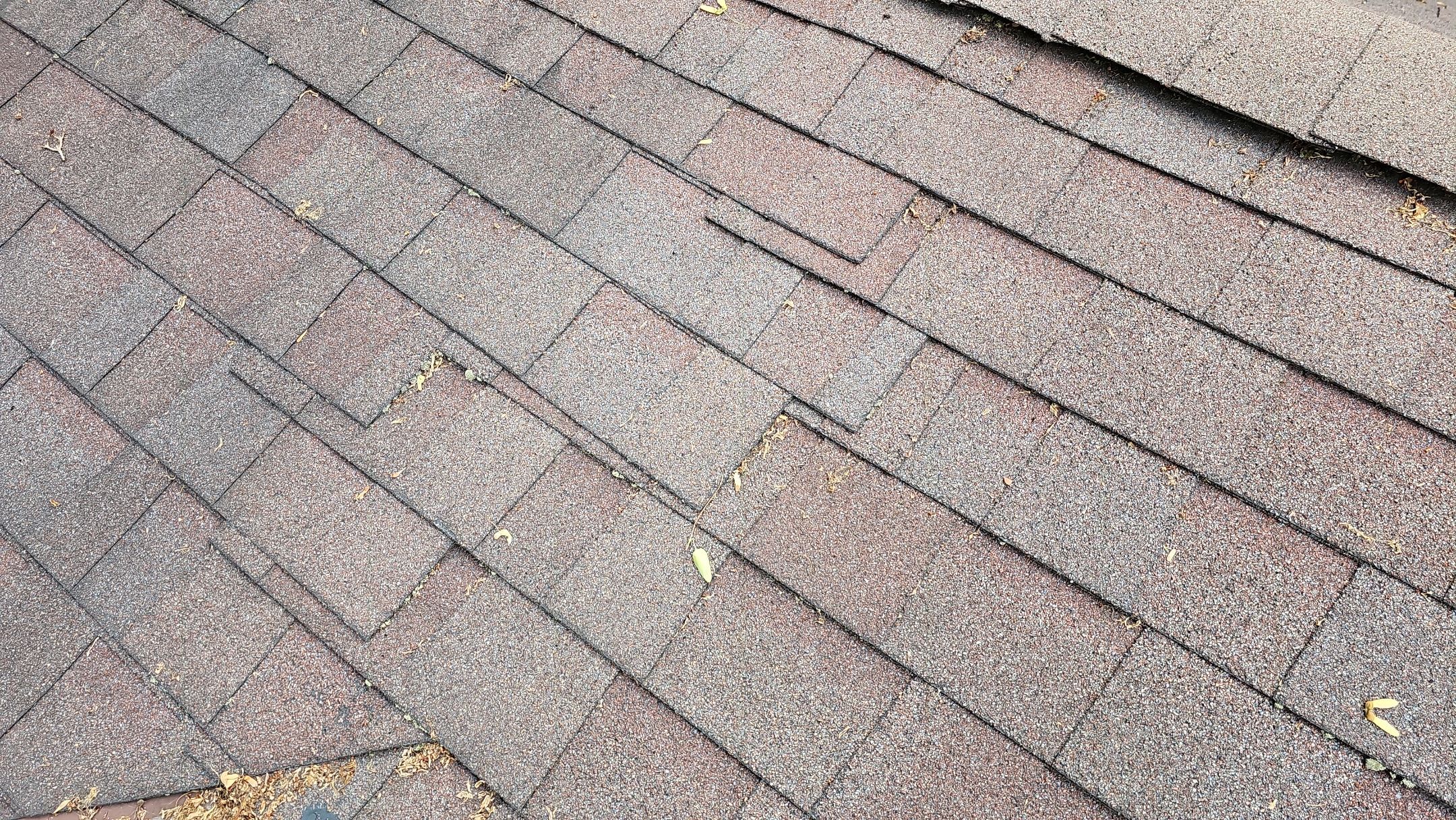 ATLAS PINNACLE COLOR: COASTAL GRANITE by Eagle Eye Roofing