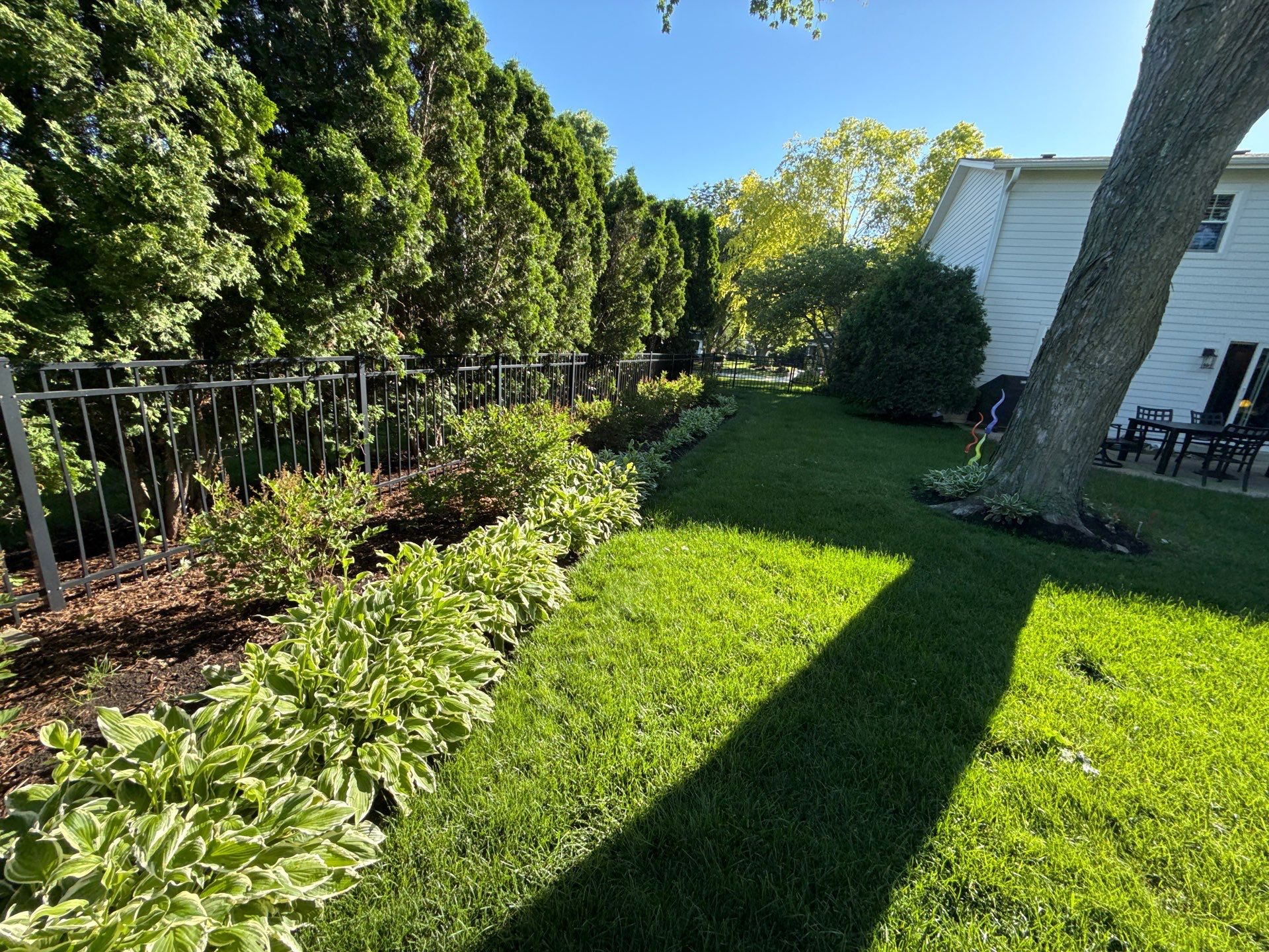 Lesley D. - Arlington Heights, IL by A&N 