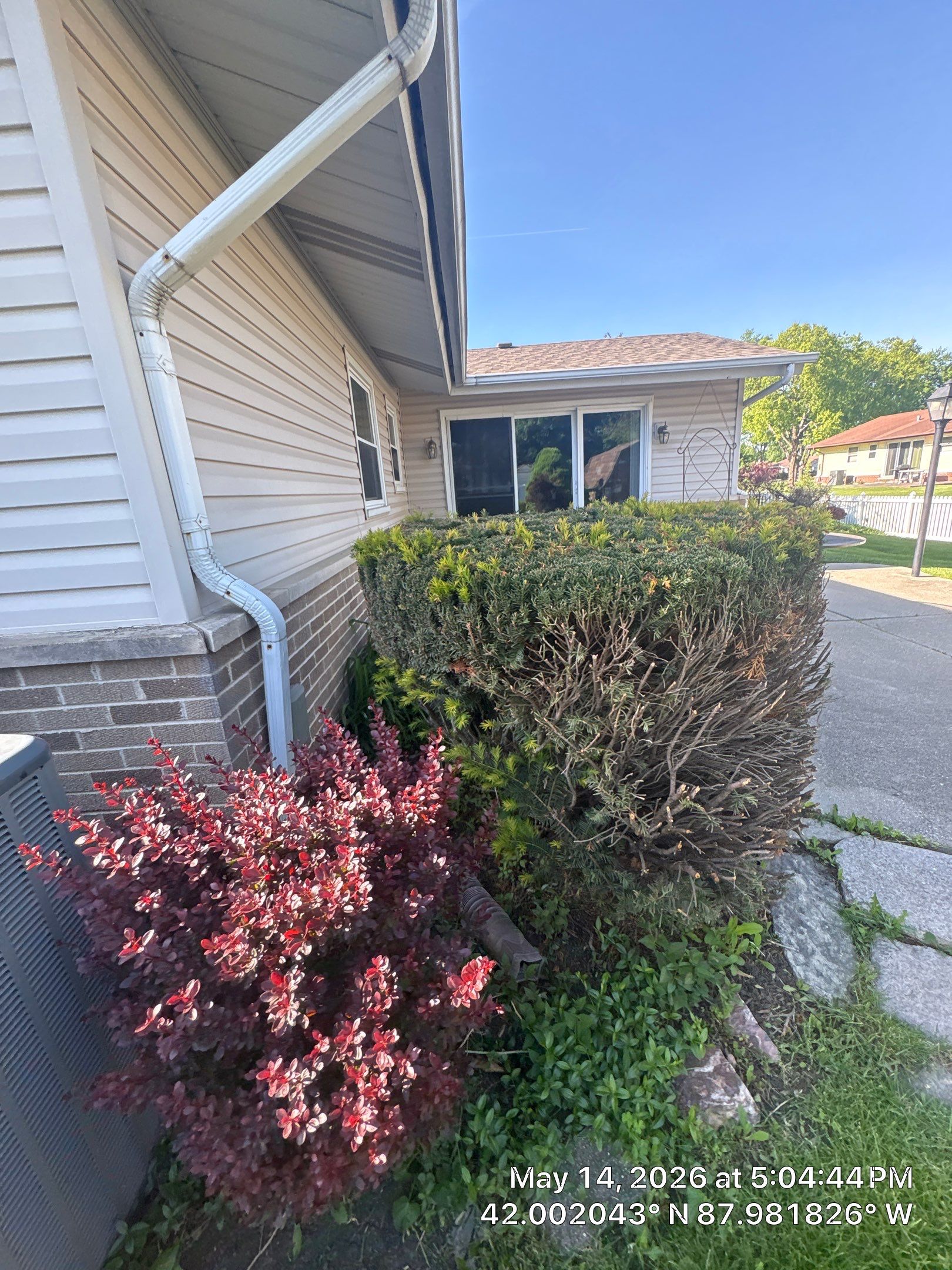 Rudel B. - Elk Grove Village, IL by A&N