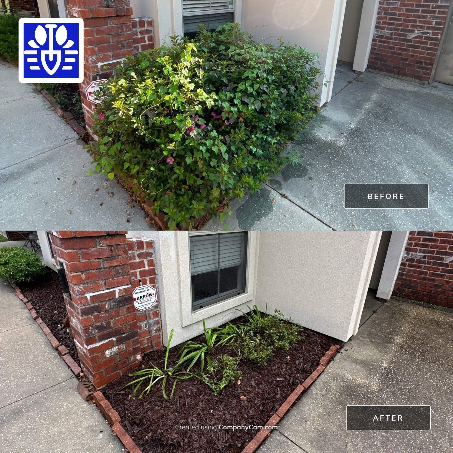 LANDSCAPE SERVICES: DEMO /PREP/ INSTALL / TRIM / MULCH INSTALL by CutScape, LLC.