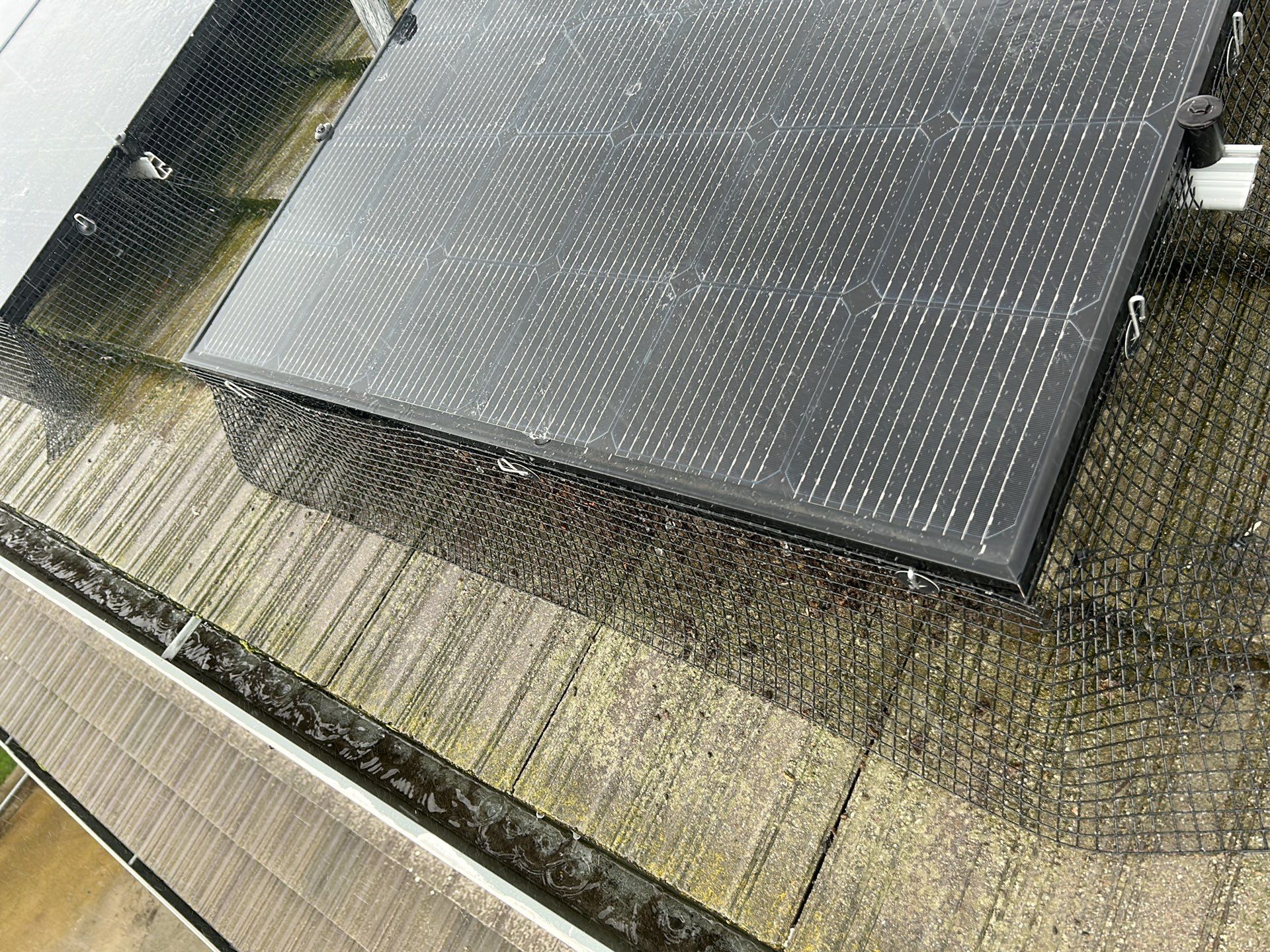 Solar Panel Bird Proofing using Critter Guard Mesh-Flat tile by All One Solar Shine
