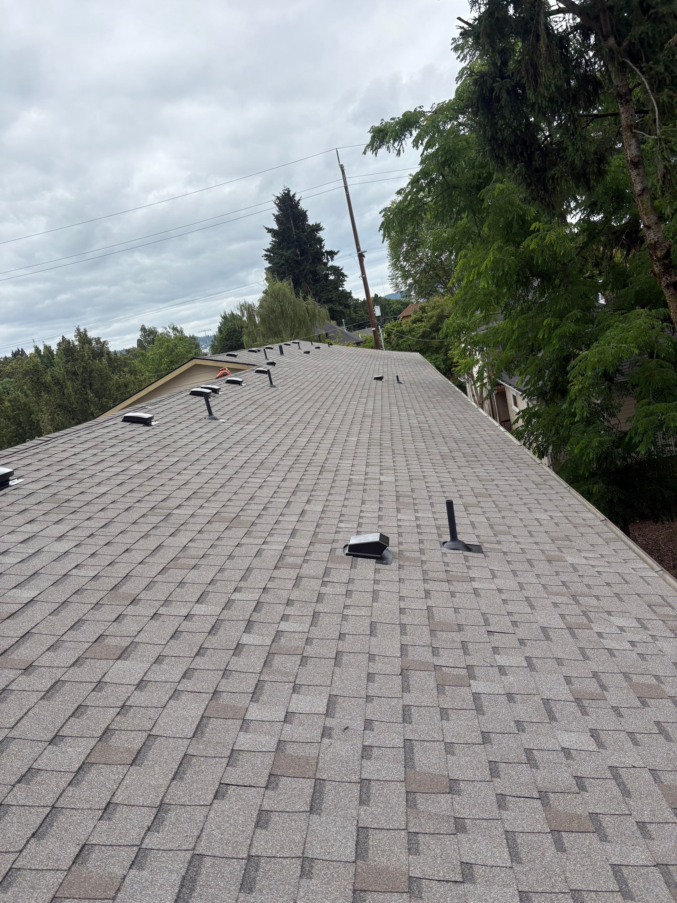 Commercial Roofing Installation using Asphalt Shingles by Vitan Construction LLC 