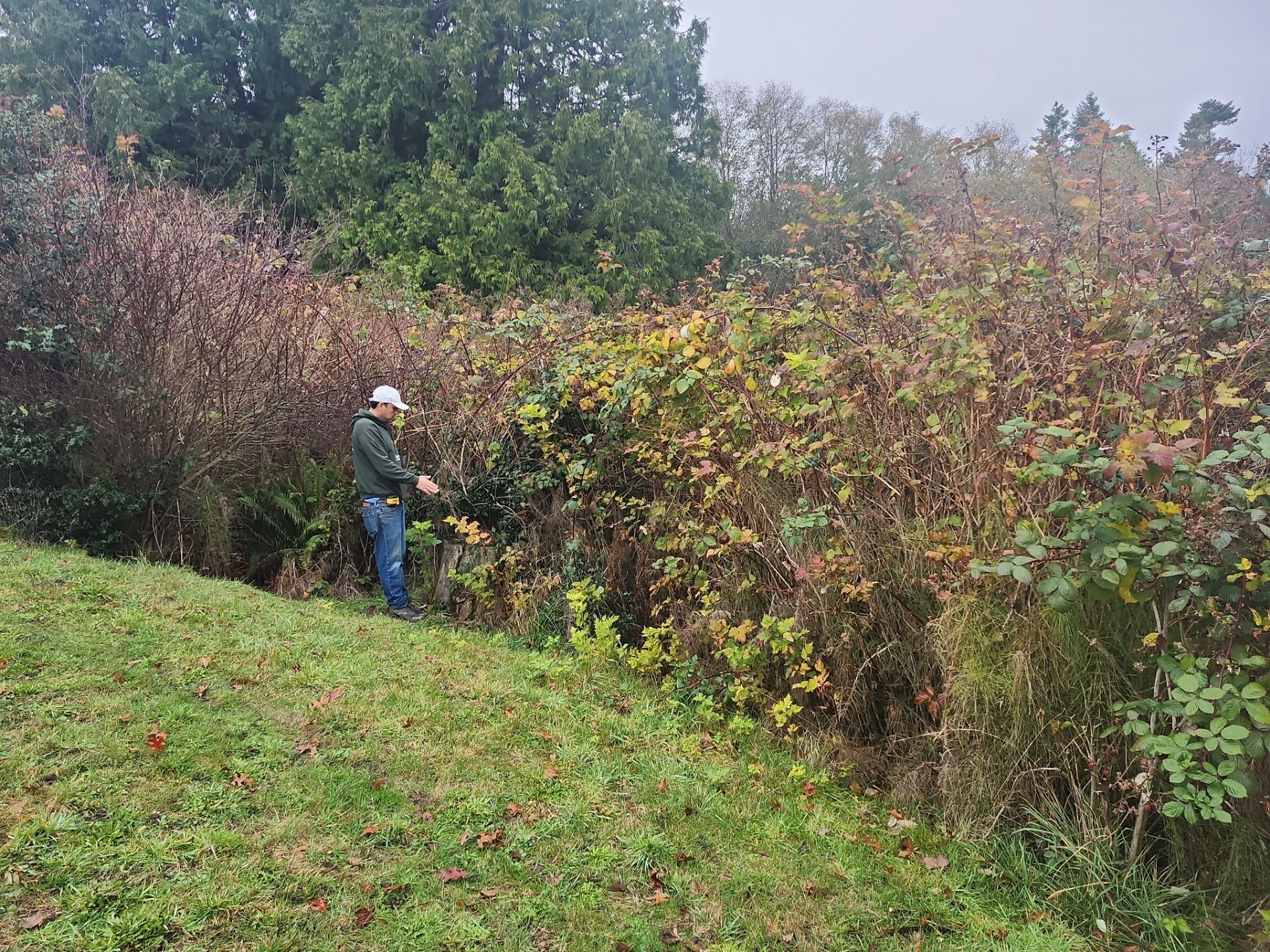 Island View - Ecological Restoration & Stewardship by Habanero Landscape Solutions