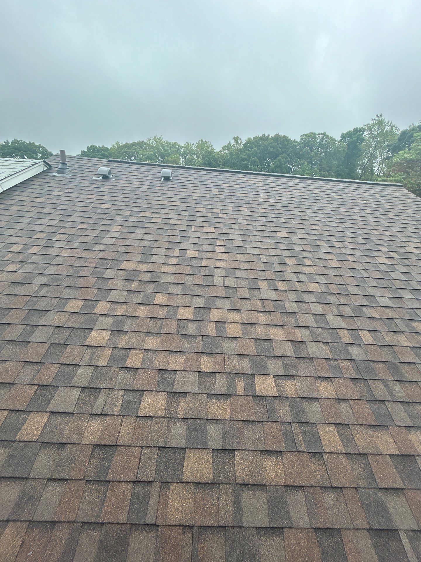 Springfield: Roof Replacement with Landmark Pro Designer Shingles in Max Def Shenandoah by RM Banning, Inc.