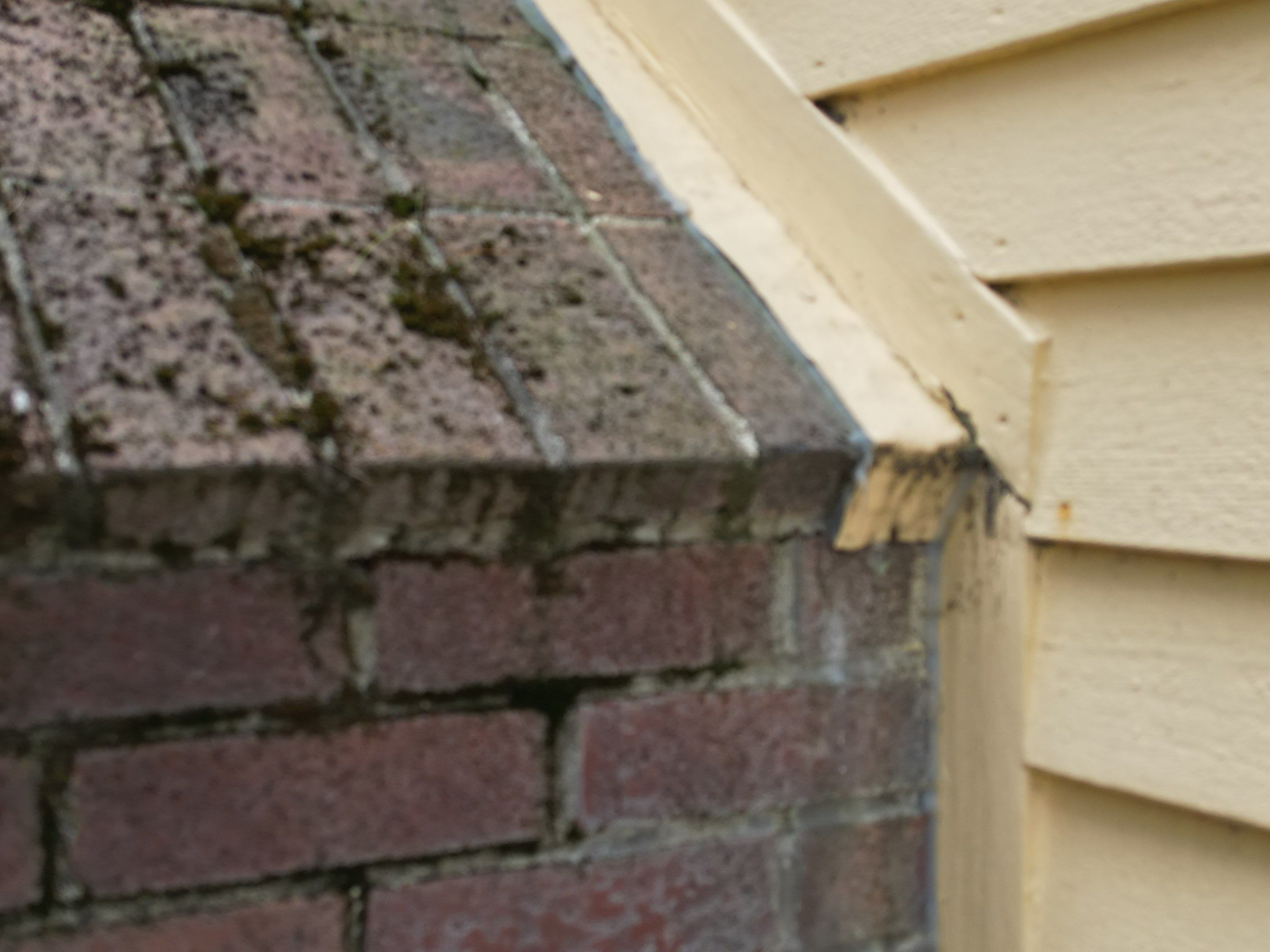 Siding | Dunstable by Mighty Dog Roofing of Greater Middlesex County