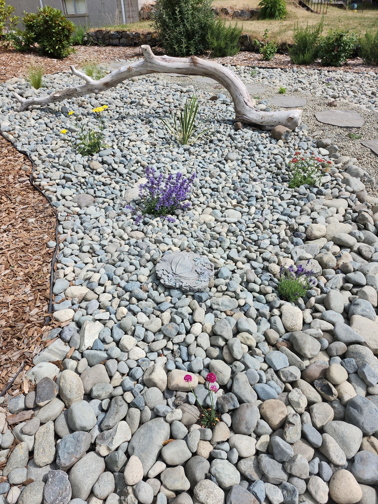 Front Yard Ecological Conversion – A West Coast-Inspired Low-Maintenance Oasis by Habanero Garden and Exterior Care