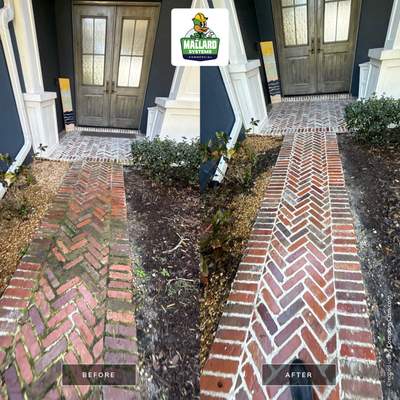 Paver Cleaning