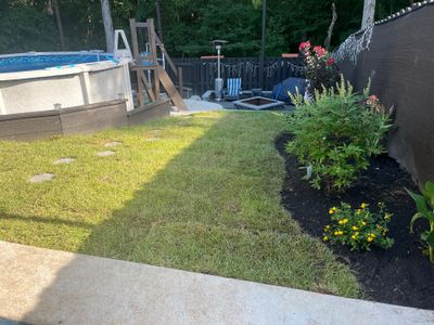 Backyard Sod and Flowerbed Installation in Summerville
