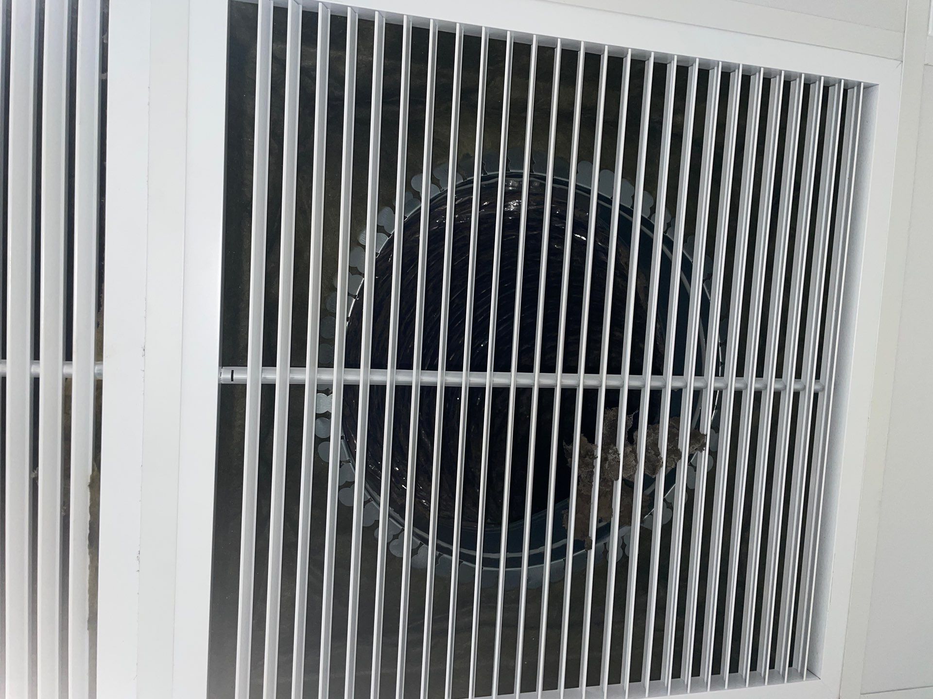 Air Duct Cleaning in Orlando by Hygienic Air, Inc