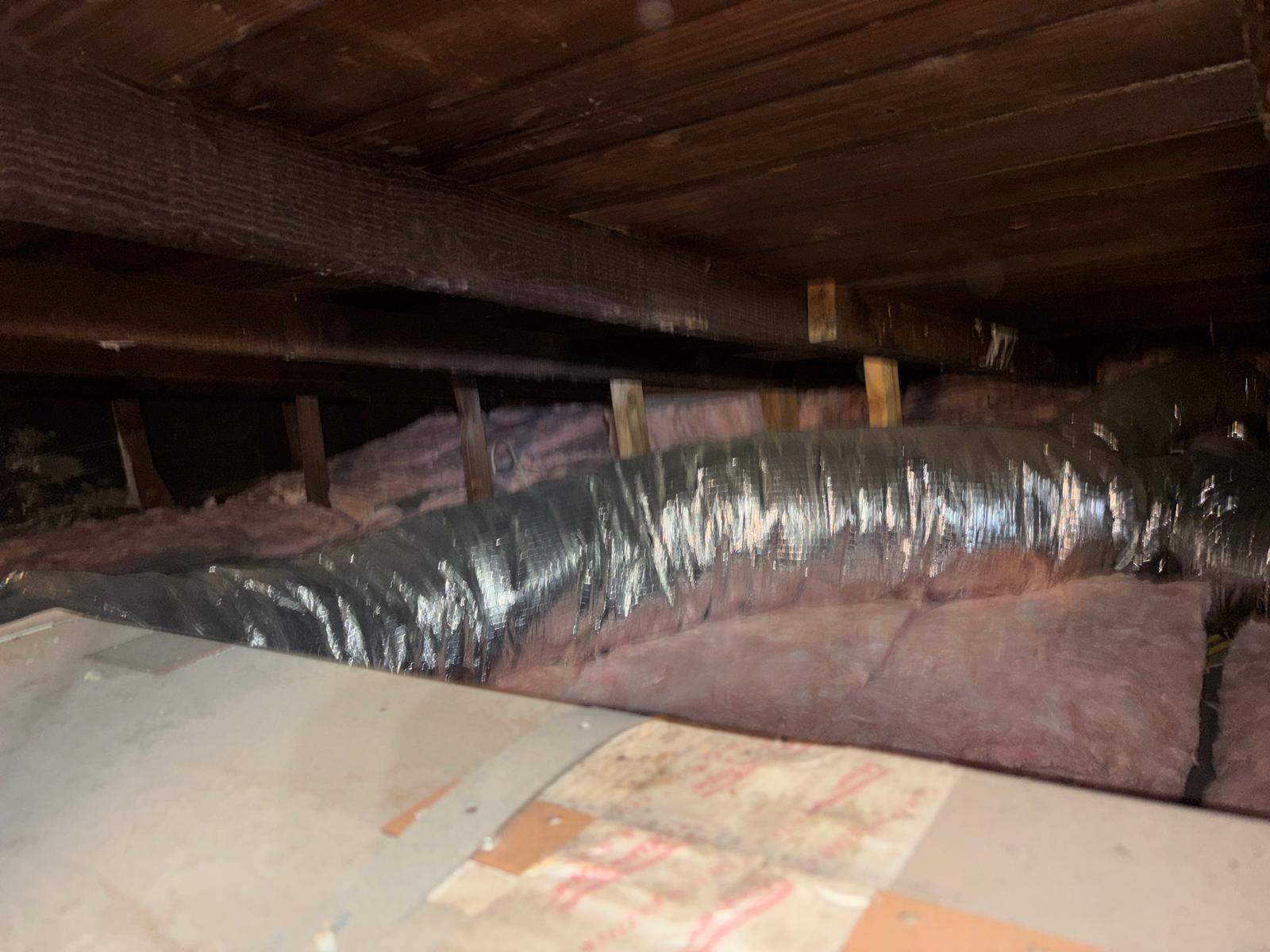 Project in Venice by Insulation Labs