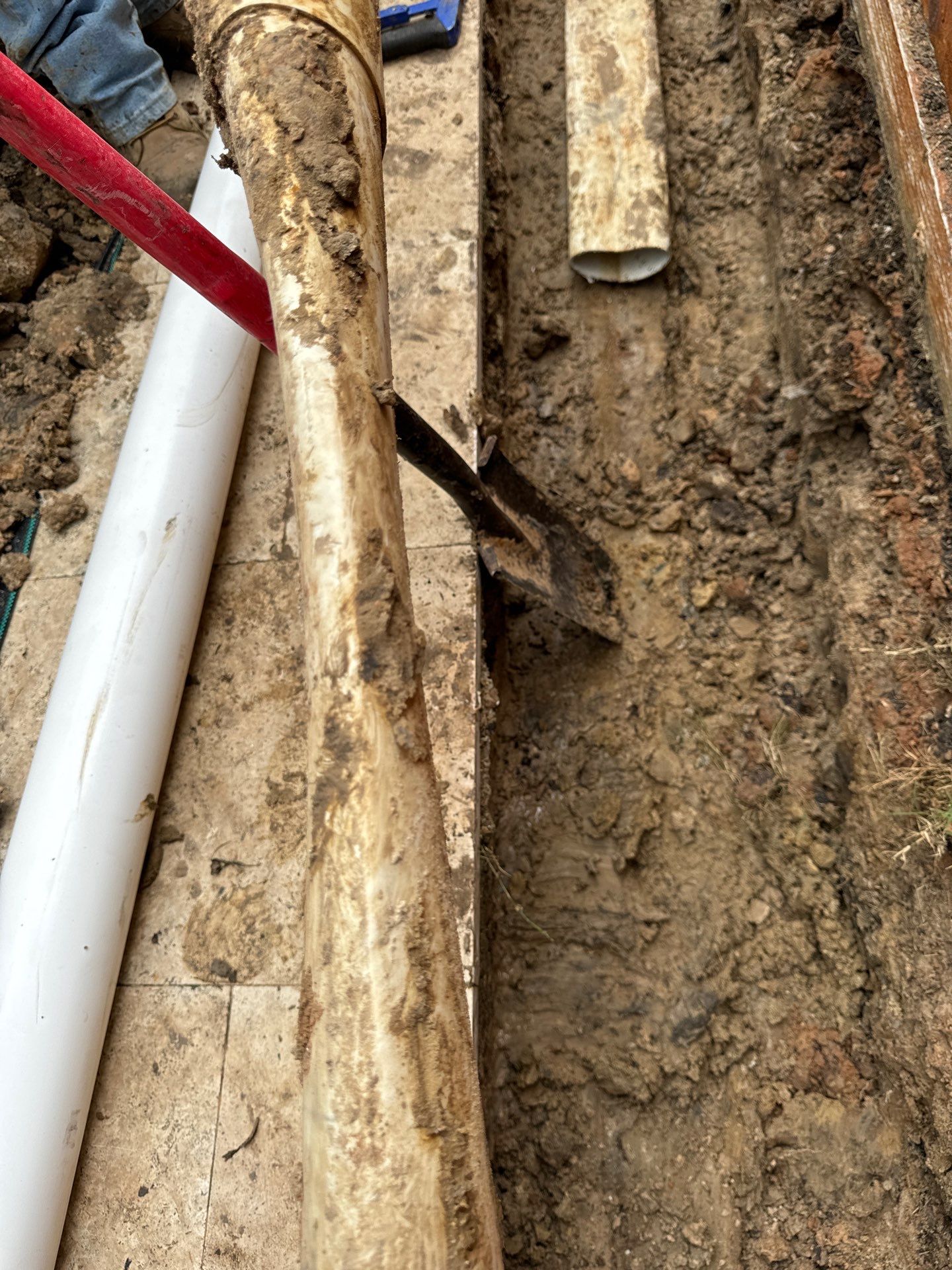 🌿 Pamela’s Backyard Makeover by Texas Urban Elements