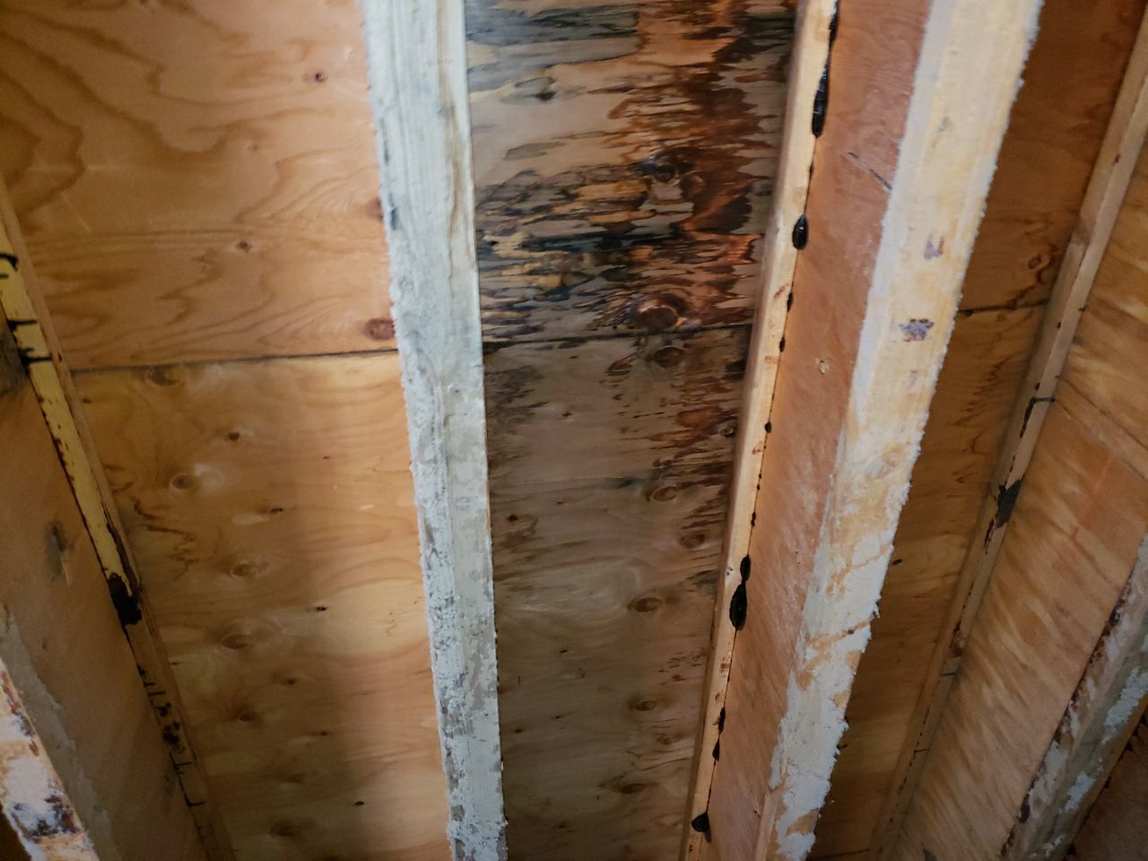 Residential Roofing Repair using Concrete Tile by The Roof Doctor