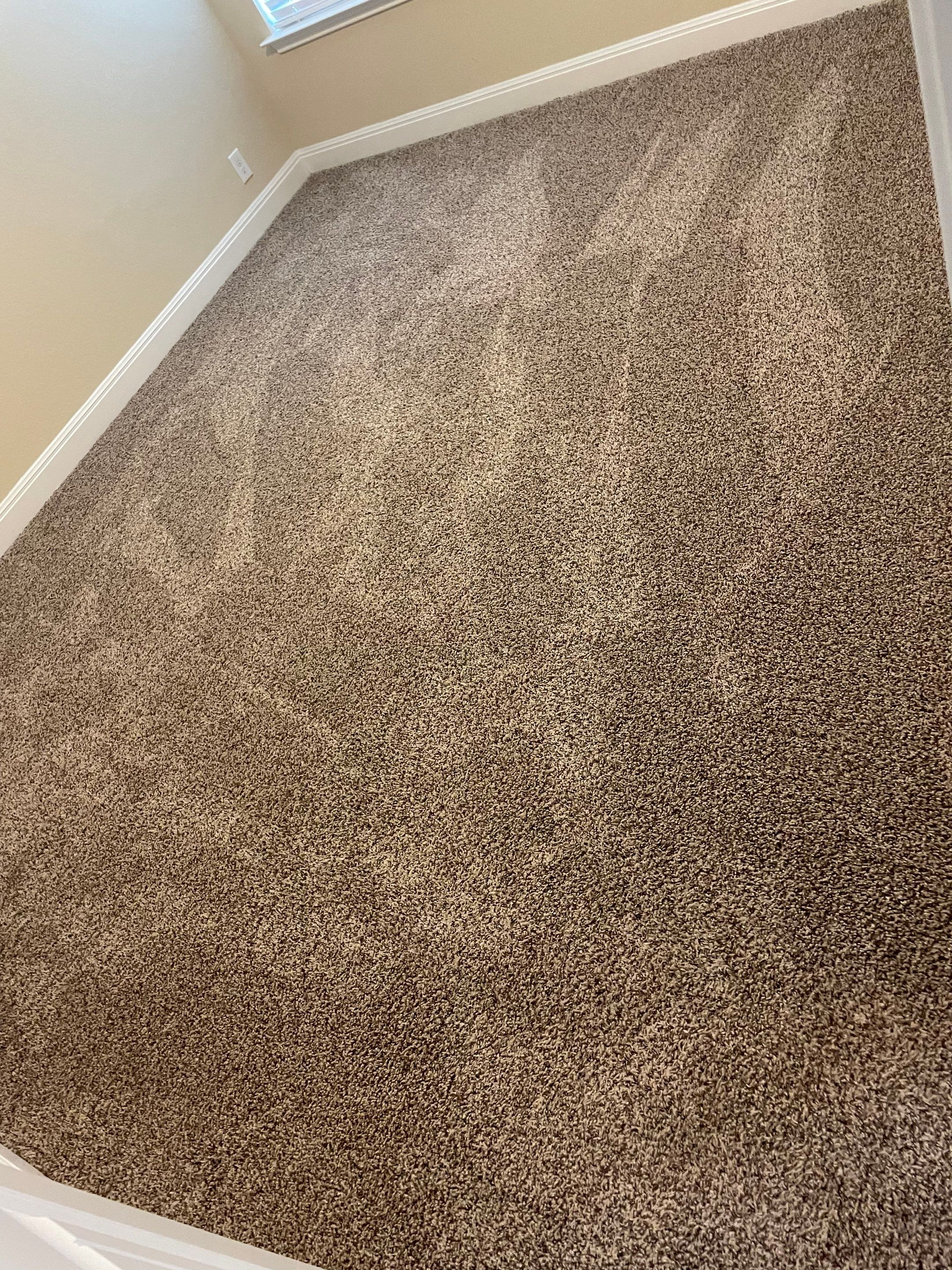 the carpet cleaning company is cleaning and restoring carpet in a residential room with clean walls and baseboards