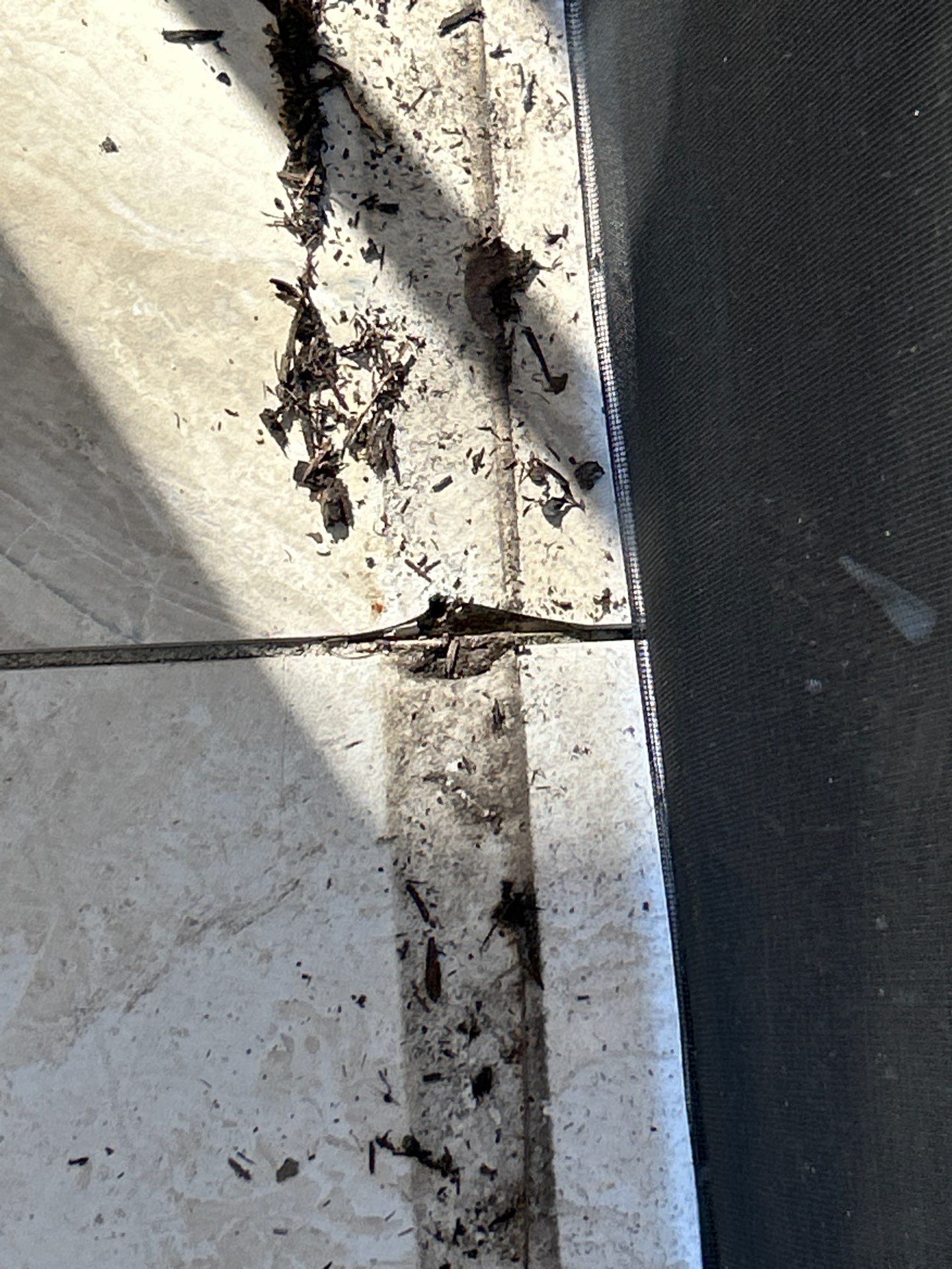 Paver Repair | Pool Deck Restoration by Old Town Pavers Llc