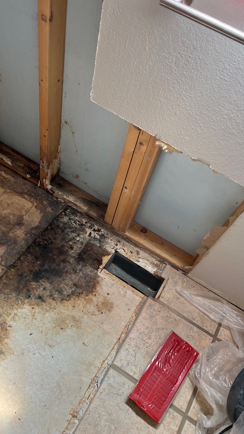 Water Damage and Mold Remediation by Accountable Home Services