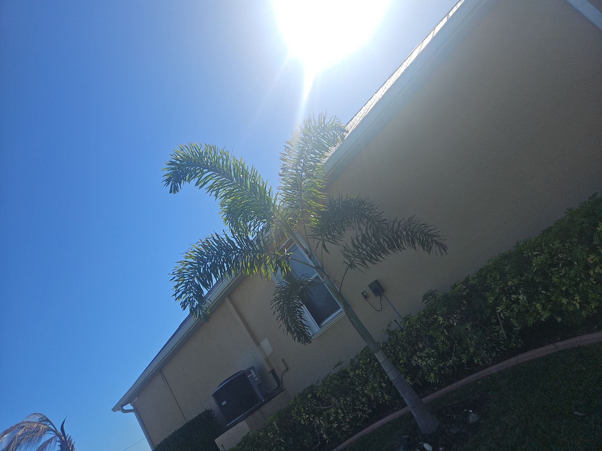 White 6 Inch Seamless Gutters using K-Style Seamless Gutters in Punta Gorda FL by Gutter Professors