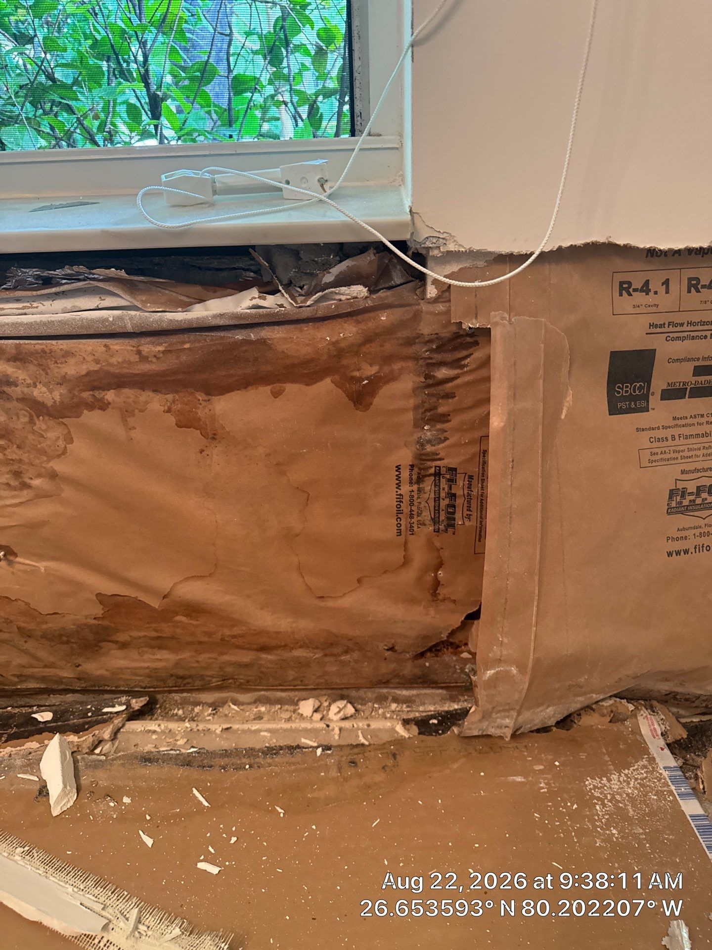 Professional Mold Remediation and Structural Drying in Wellington by SuperClean 