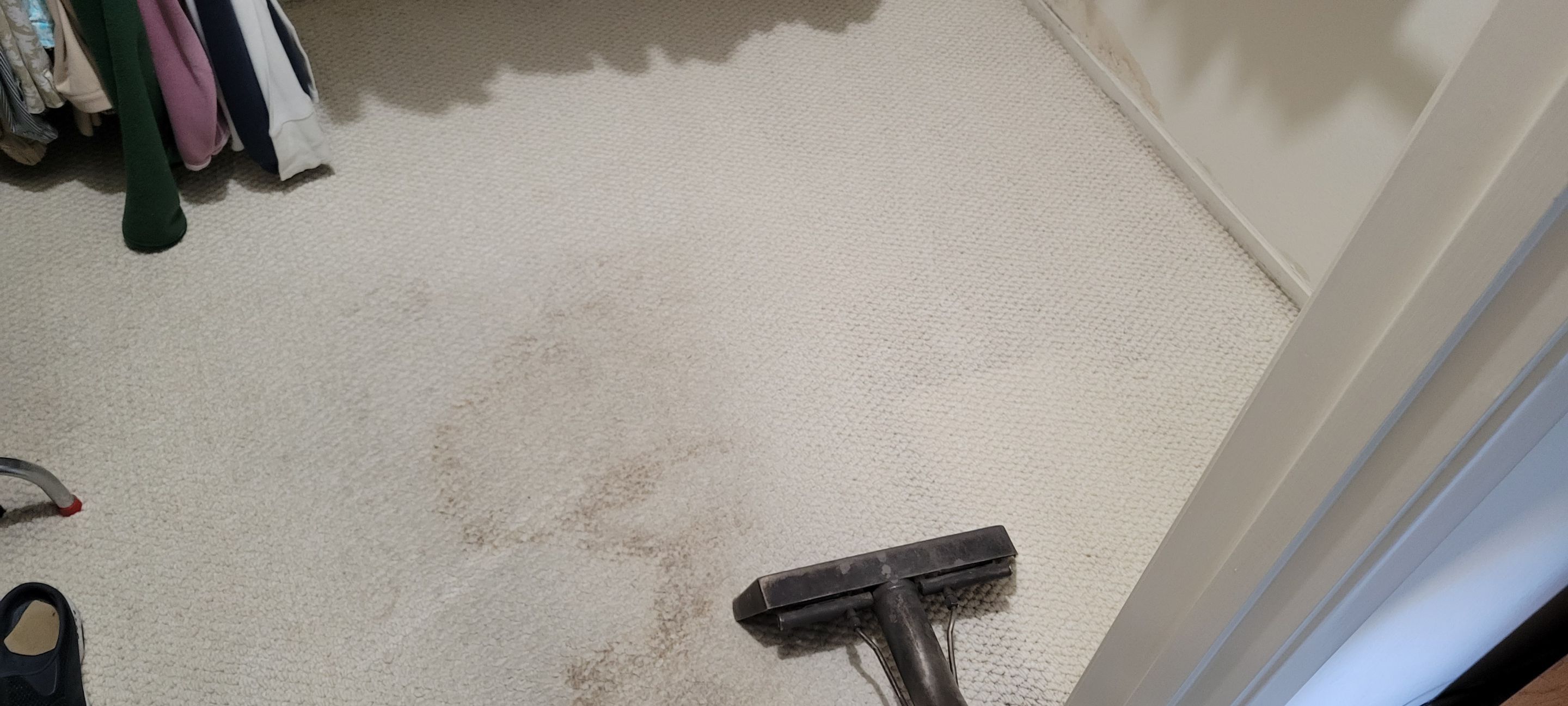 Carpet Restoration after Water Damage by Ardent Carpet Restore LLC