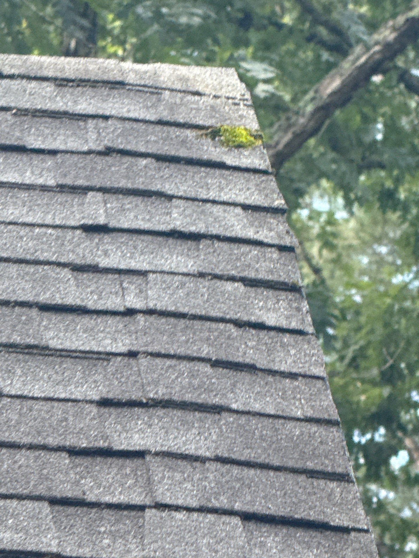 Project in Amelia Court House by Roof Maxx of Midlothian