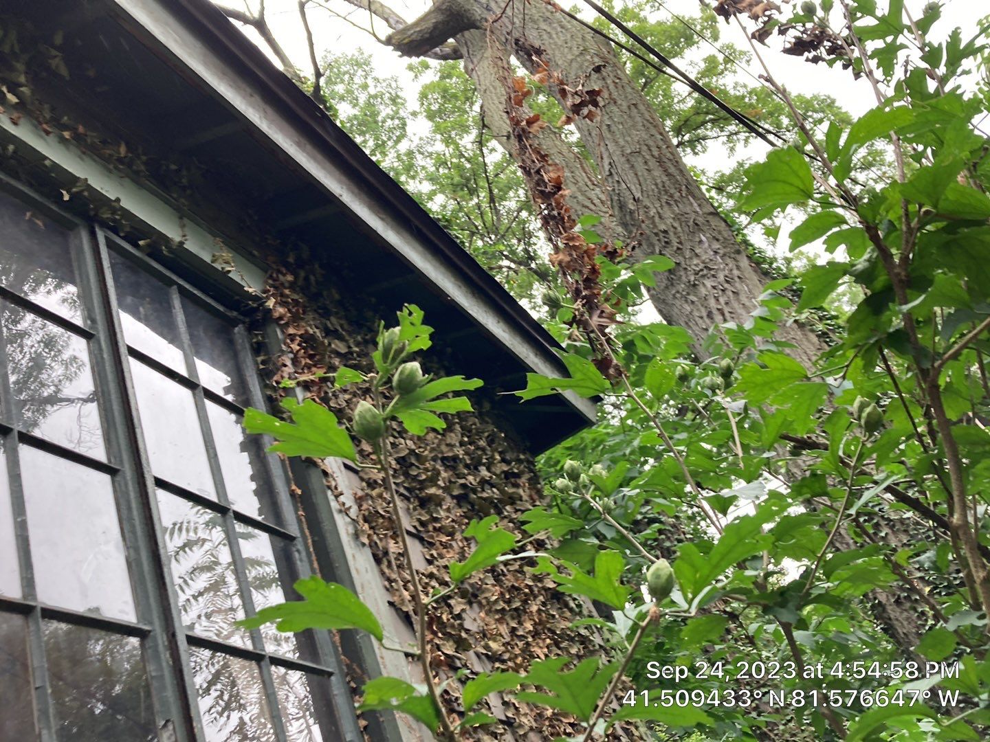 Residential Roof Replacement using Owens Corning Duration Designer, Aged Copper by Absolute Roofing and Construction