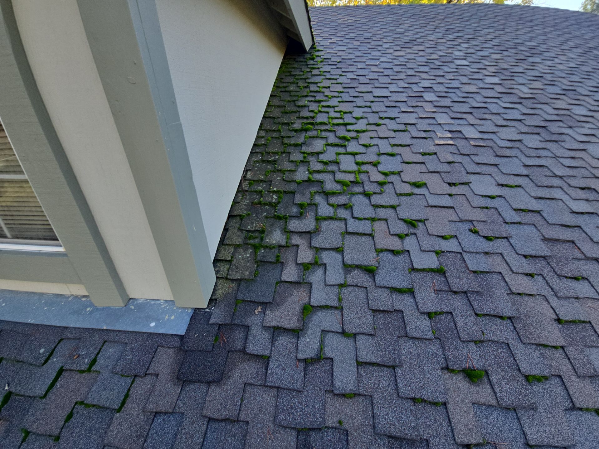 Roof Rejuvenation using Roof Maxx Treatment by Roof Maxx of Folsom