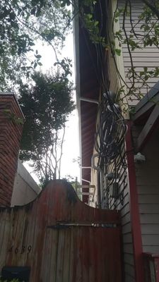 Project in New Orleans