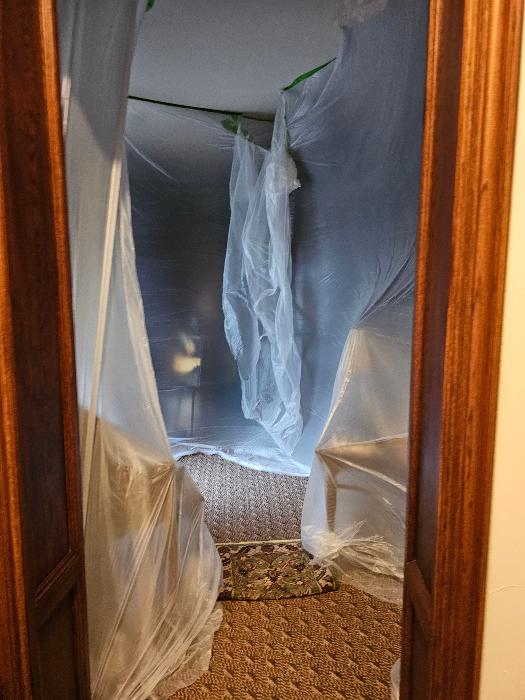 Exterior & interior paint, Garage door repairs, roof replacement & leak repairs by EL-GC LLC 