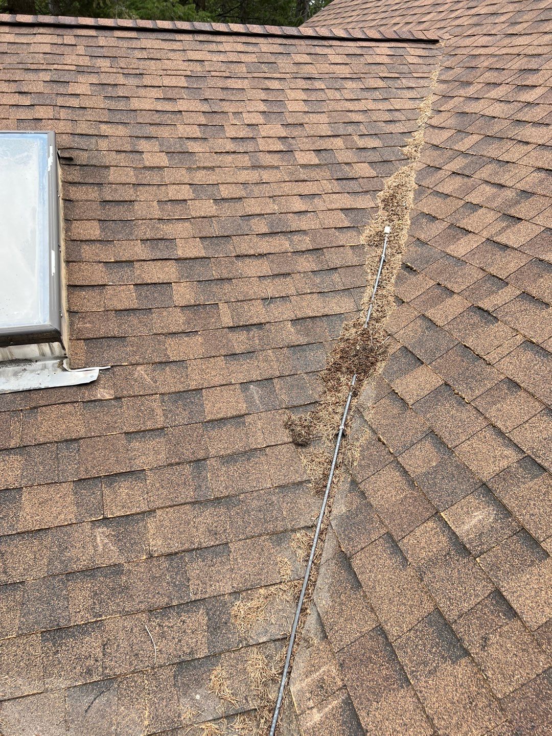 GAF Timberline HDZ - Hunter Green by Montana Roofing Solutions