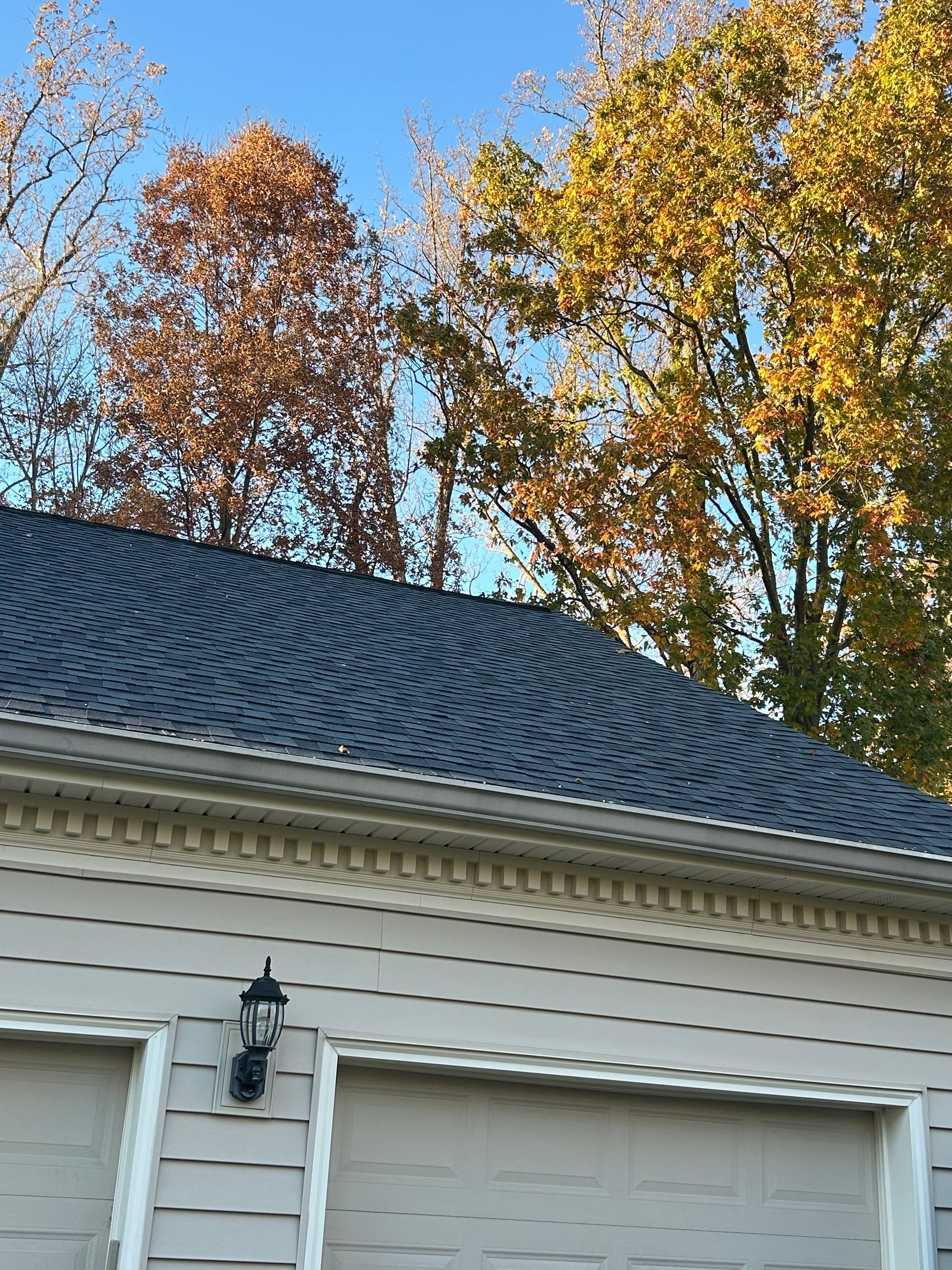 Alexandria :Residential Roof Replacement with CertainTeed Landmark Pro in Max Def Moire Black  by RM Banning, Inc.