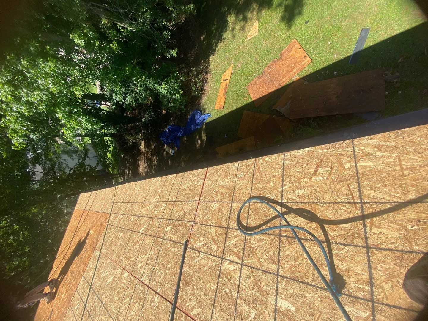 Rotten Wood by Roof Bullies