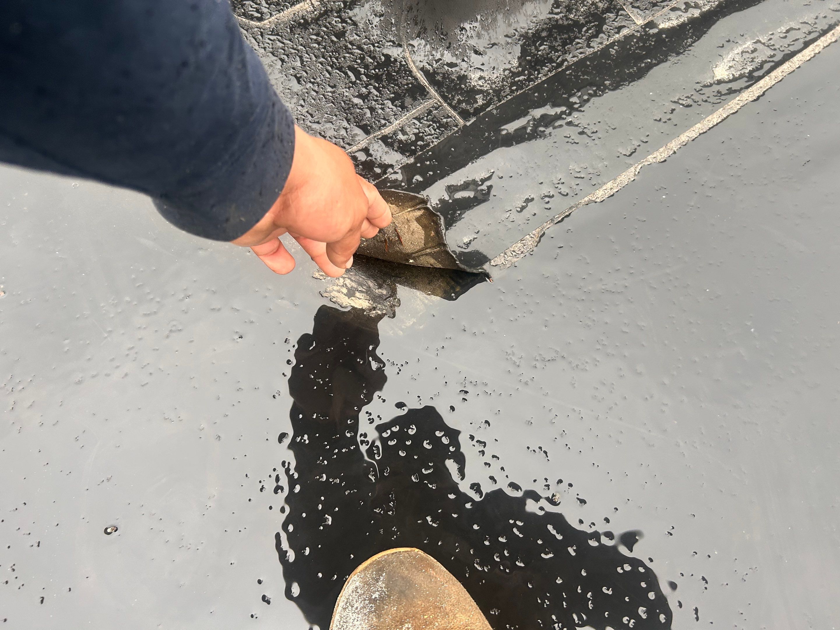 Skylights | Concord by Mighty Dog Roofing of Greater Middlesex County