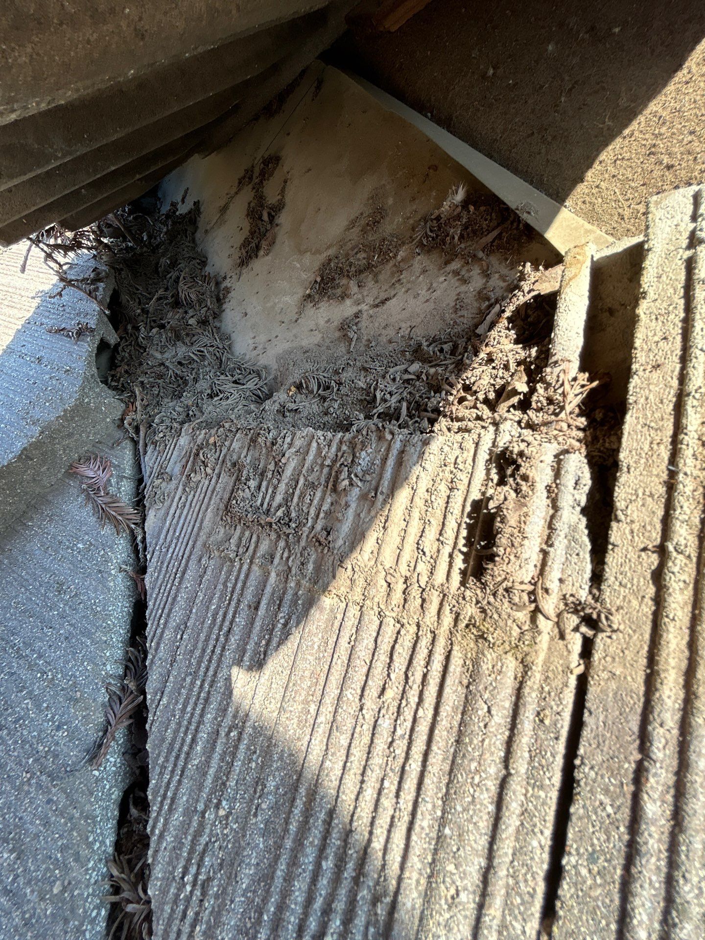 Doug McCauley by CJM Roofing