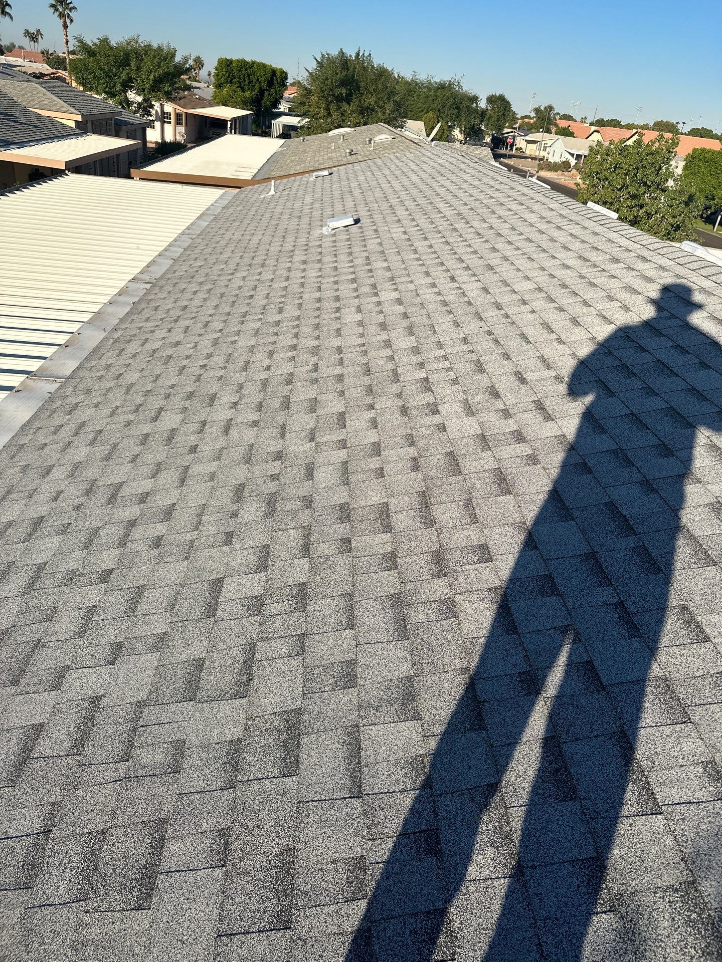Silver Birch Shingles by Reimagine Roofing