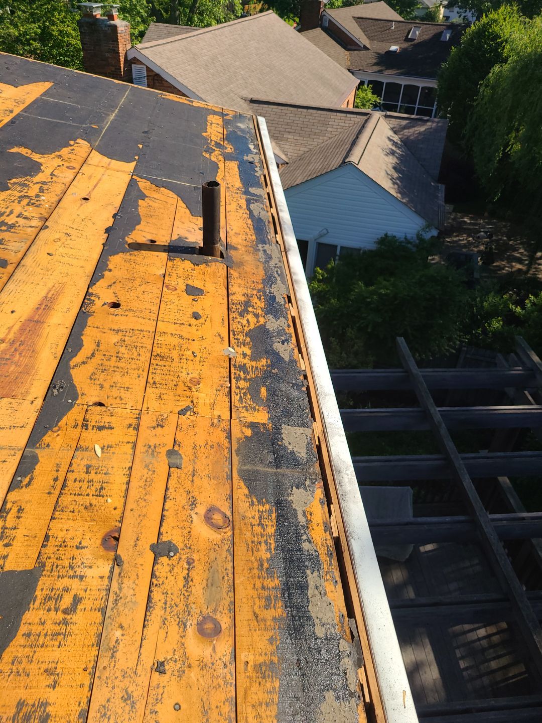 Alexandria: Mule Hide TPO Flat Roof by RM Banning, Inc.