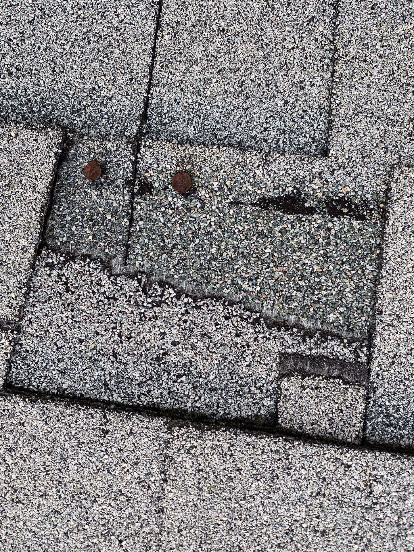 Roofing & Siding | Acton by Mighty Dog Roofing of Greater Middlesex County