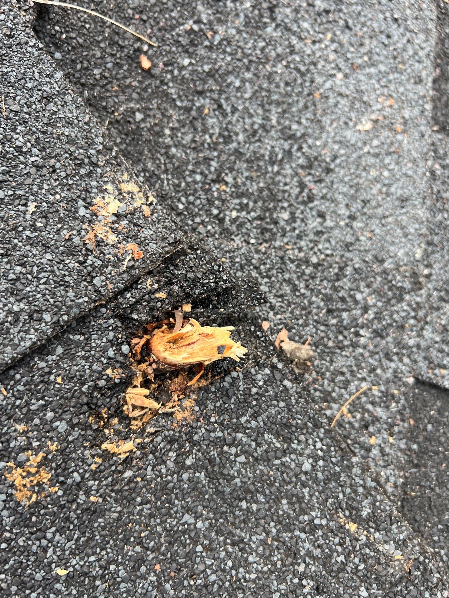 Residential Roofing Repair using Owen's Corning Duration (Lifetime) Shingles by Roof Repair Services LLC