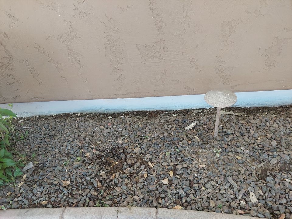 Exterior Painting - Gilbert by Crash of Rhinos Painting & Garage Floors