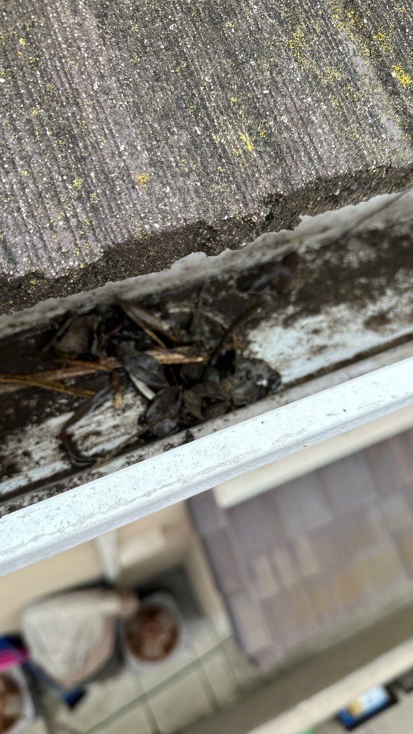 Irvine Gutter Cleaning by Property Cleaning Experts