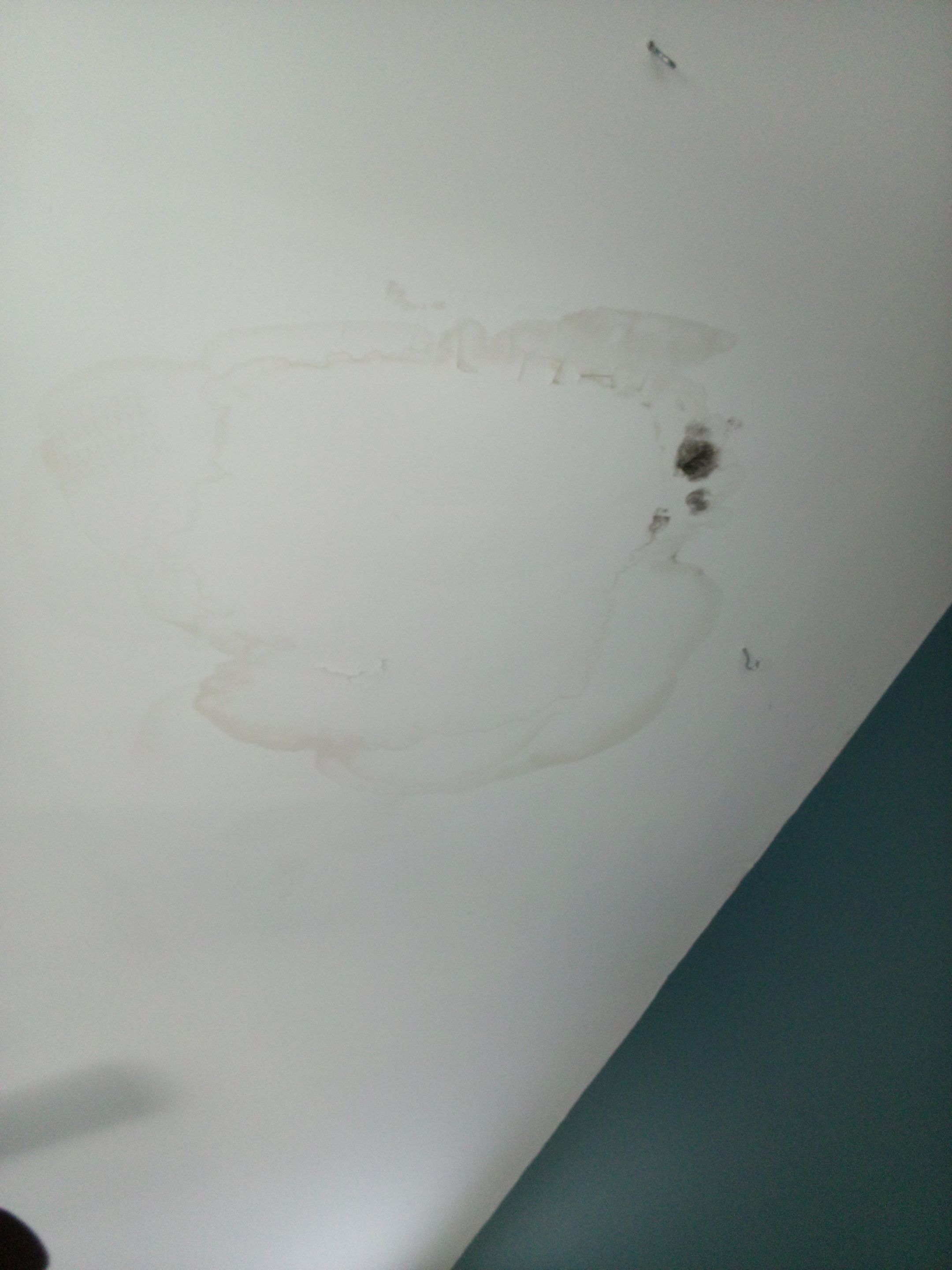 Mold Remediation in Shelbyville, KY by ANR Restoration