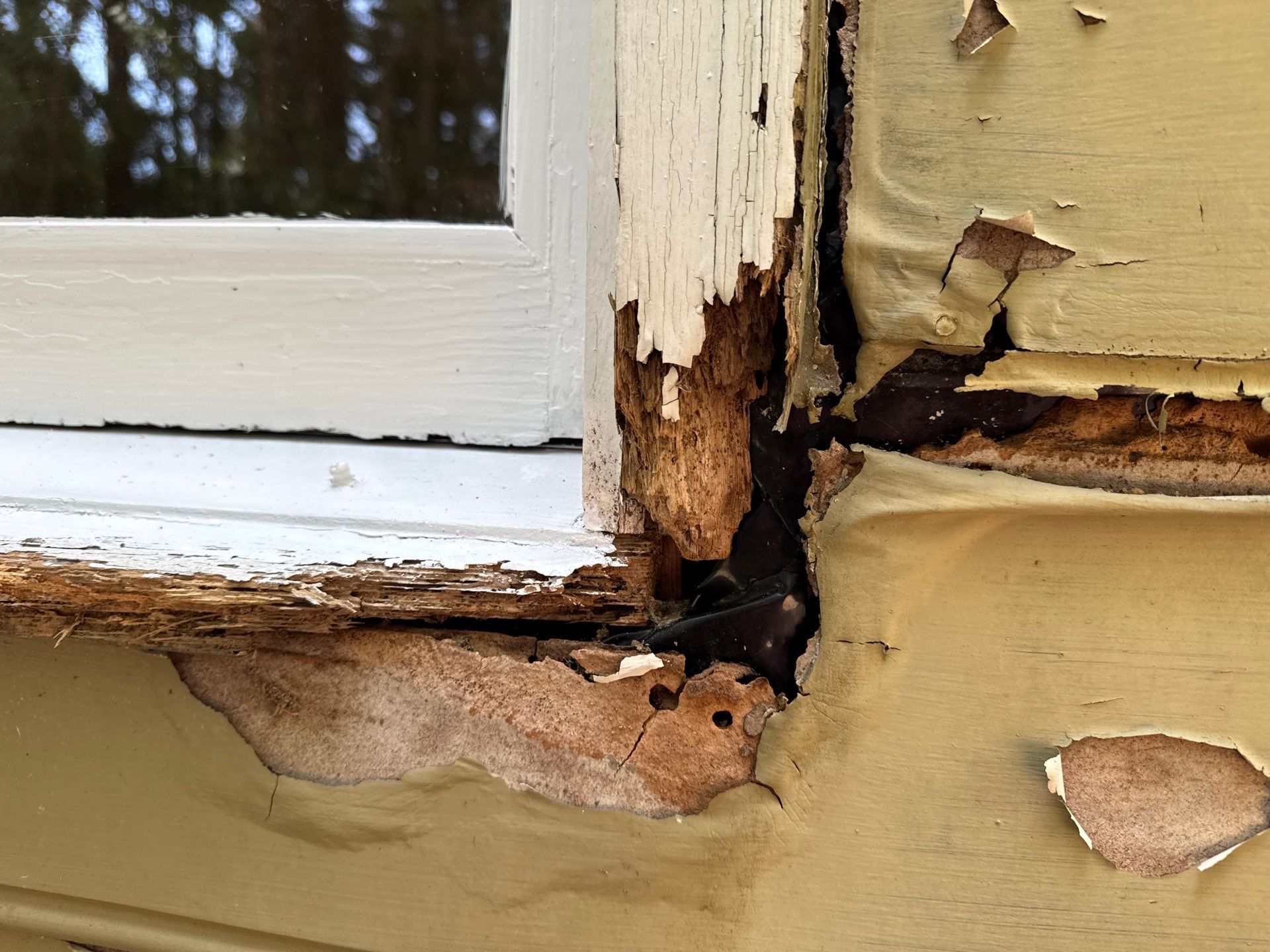 Siding Replacement and Structural Wood Rot Repairs in Mechanicsville by Cade Construction