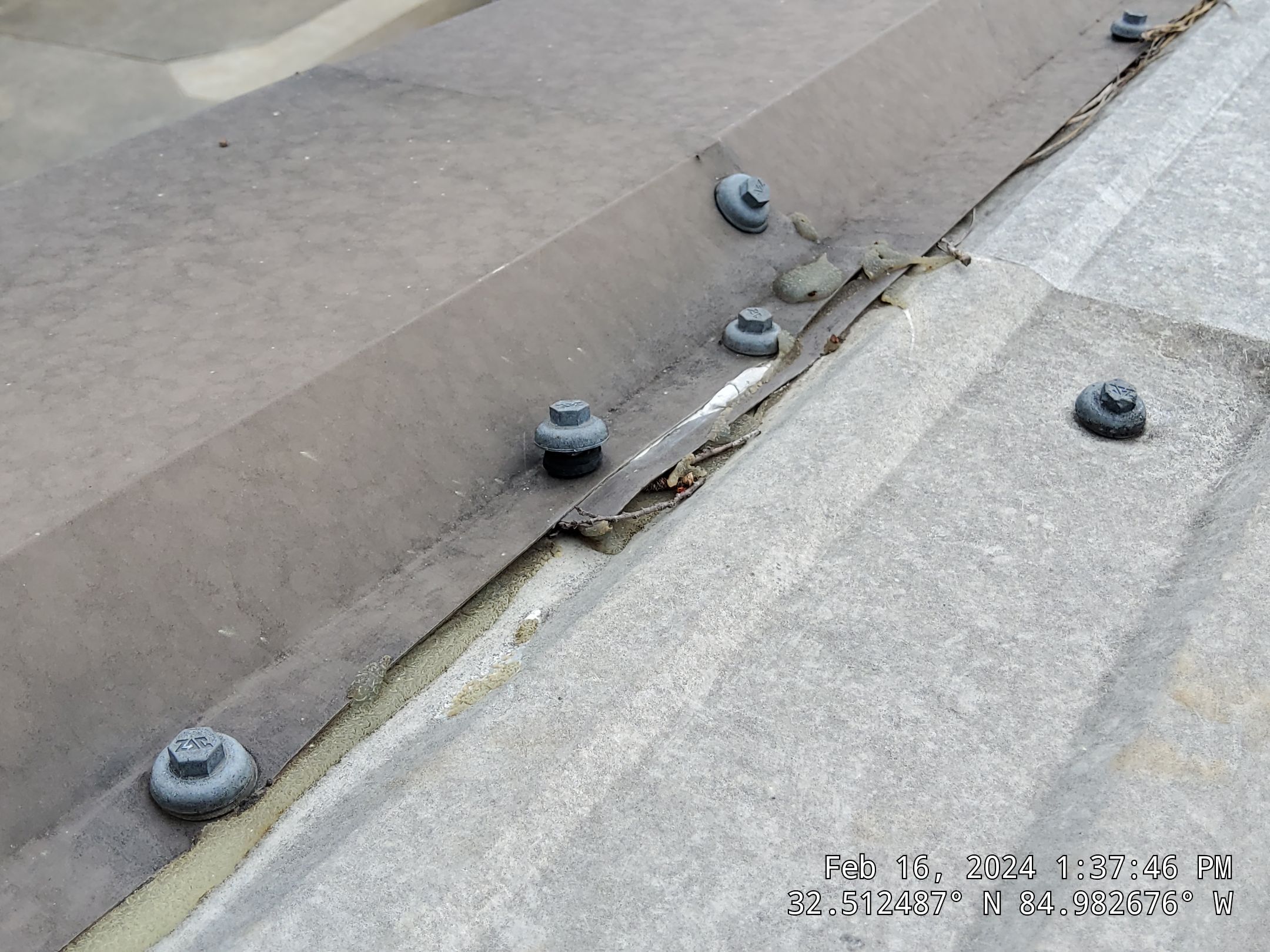 Master Clean Roof and Gutter Cleaning by iGreen Solutions