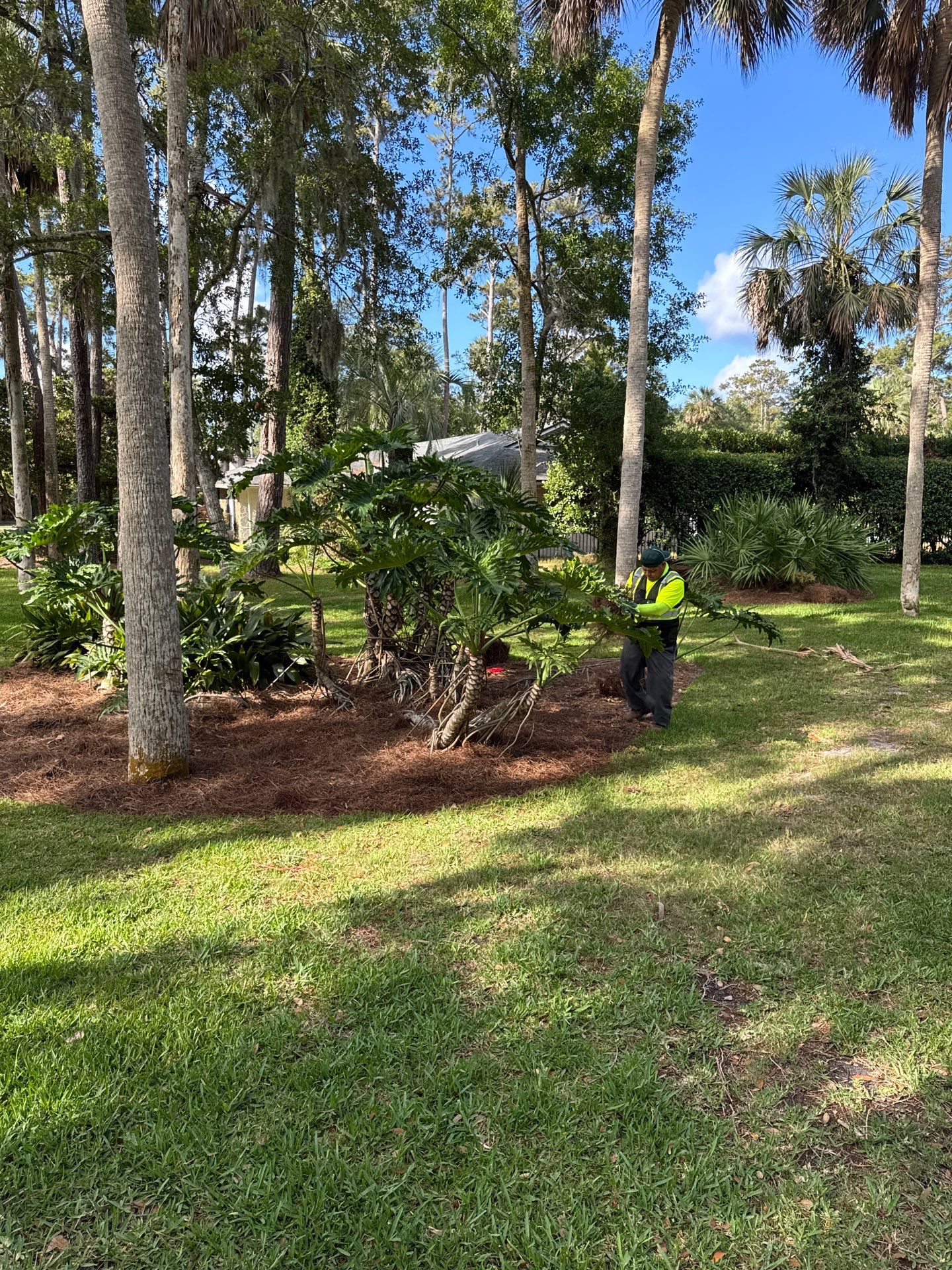 Residential | Pine Straw Install by ProGreen Services