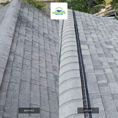 Silver Birch Shingles