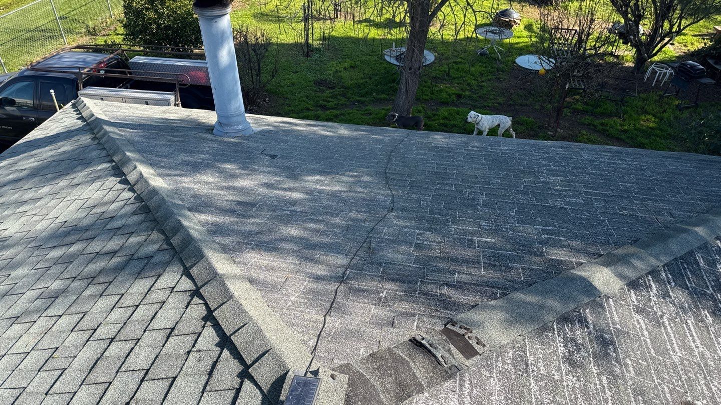 Project by NuLead Construction Inc by NuLead Construction Inc