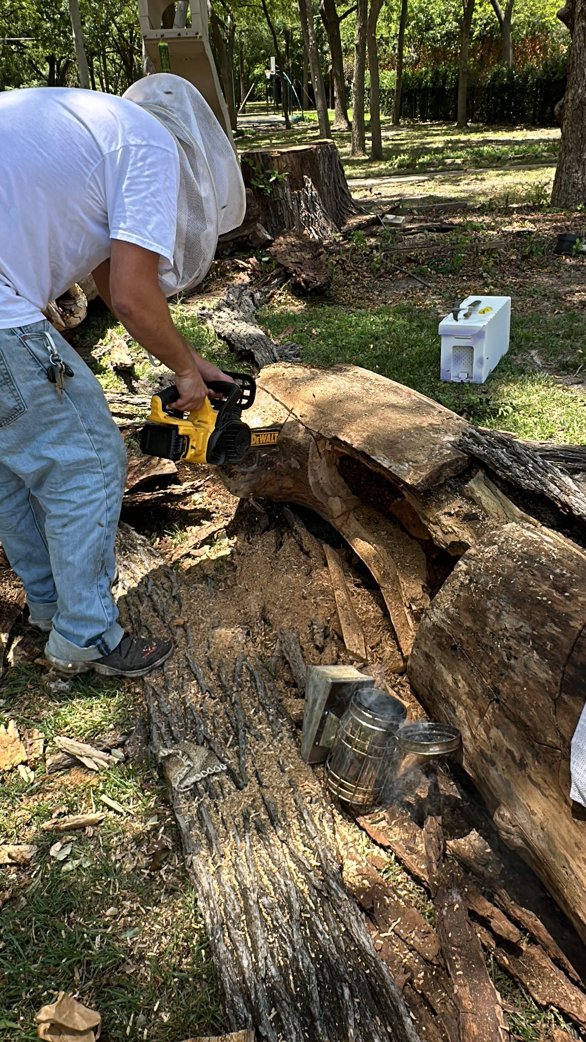 Two More Trees, One More Yard by Rockwall Honey Bee Company