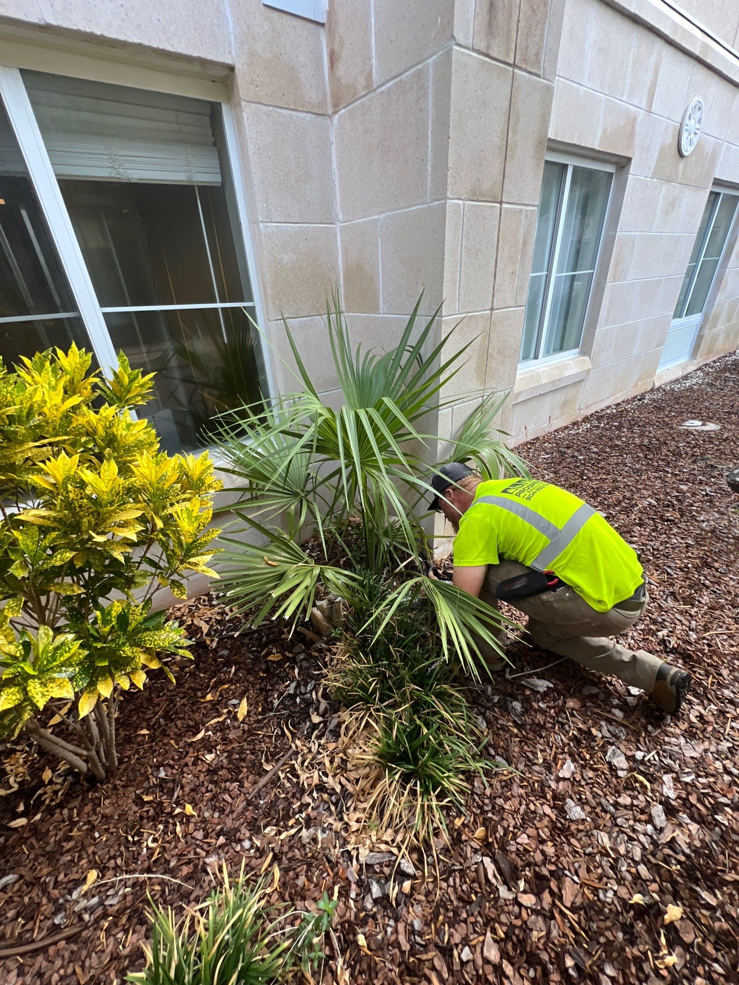 Homewood Suites | Tree Service by ProGreen Services
