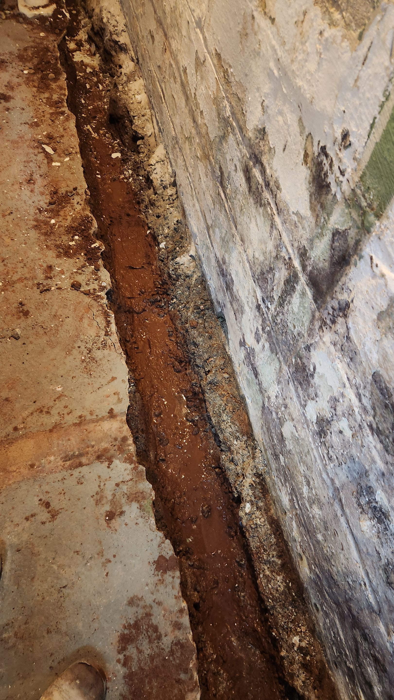 Interior French Drain South Orange, NJ by Pure Service Pro, LLC 