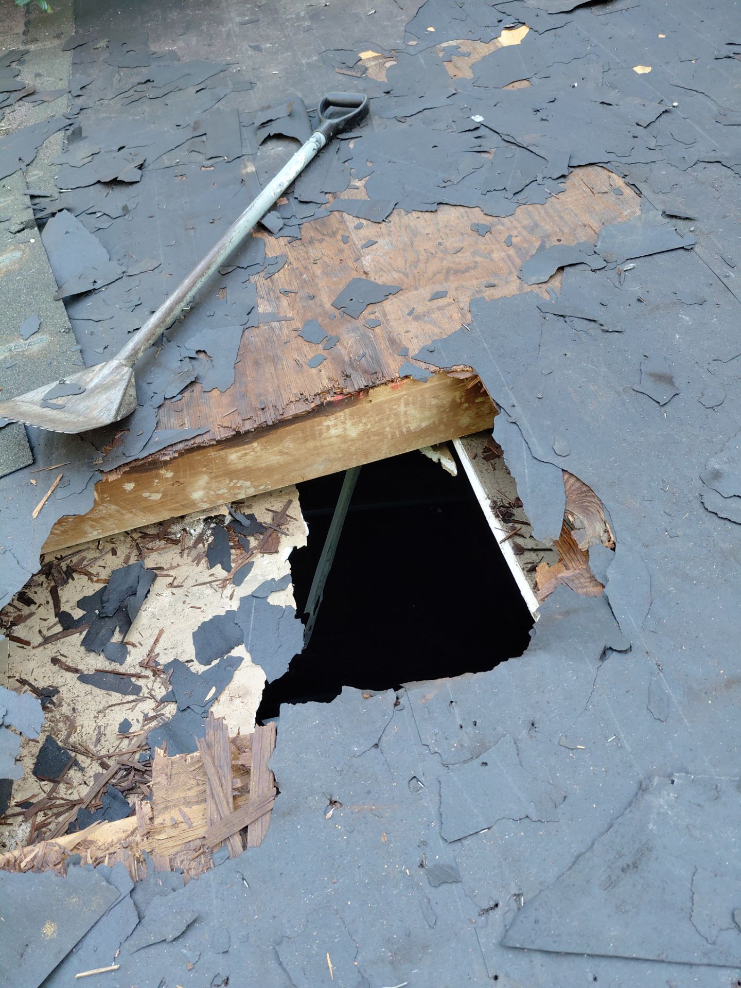 Alexandria: Residential Roof with CertainTeed Landmark Pro in Max Def Burnt Sienna by RM Banning, Inc.